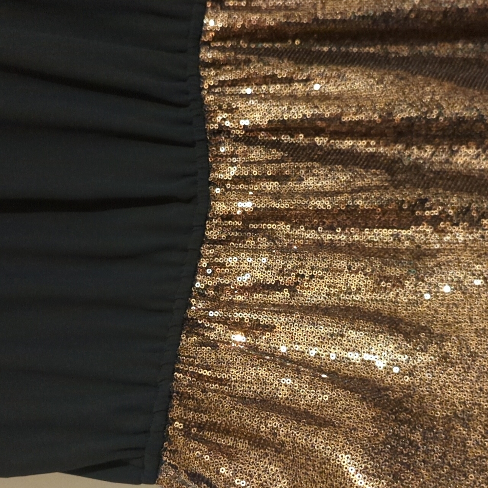 Express Dress - Picture 2 of 2